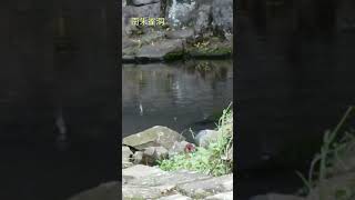 2023.05.20 但馬・玄武洞