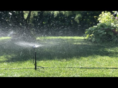 Минидождеватель "Балерина", радиус до 4 м, расход 280 л/ч, подключение 5 мм "папа" (капельница - спринклер) - фото 1 - id-p1644911262