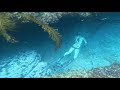 spearfishing paradise epic coranado island adventure