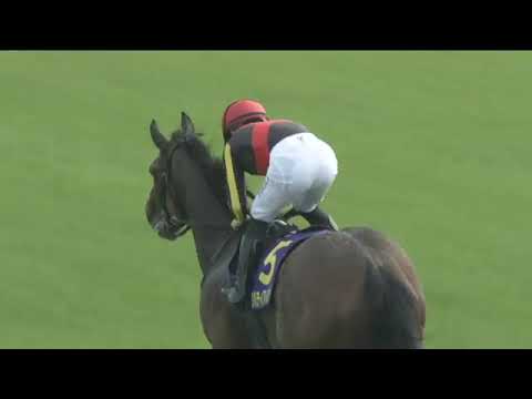 2023.05.21 Yushun Himba (Japanese Oaks) - Liberty Island