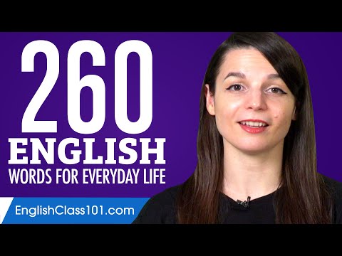 260 English Words for Everyday Life - Basic Vocabulary #13
