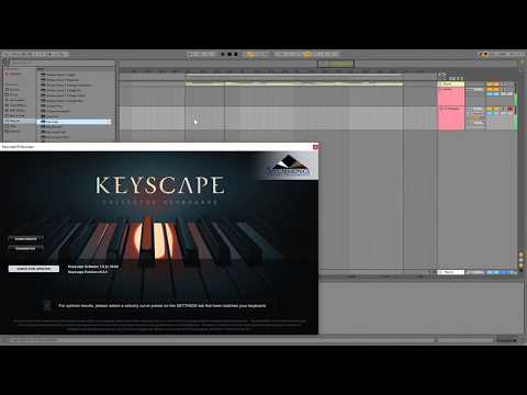 How to make Future bass Full session+Sample selection and Mixing (100% Worth) + Project File