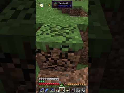 "Unbelievable! Portal to Magical Forest in Minecraft!" #20