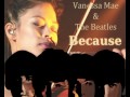 The Beatles with Vanessa Mae - Because 