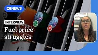 Truck companies call for more support with fuel excise due to increase | ABC NEWS