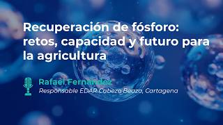 Recuperación de fósforo: retos, capacidad y futuro para la agricultura | Rafael Fernández