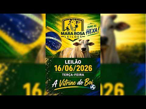MARA ROSA LEILÕES - GOIÁS - LEILÃO DE GADO DE CORTE 16/06/2026