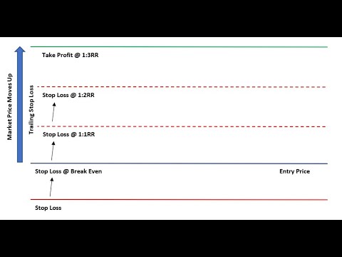 Video Trading Manager Expert Advisor