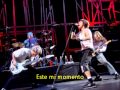 Red Hot Chili Peppers Tear sub español