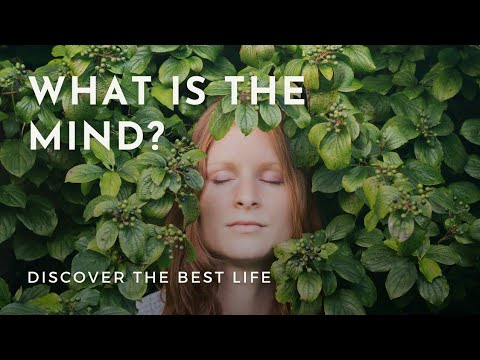 What is the Mind? | Meditation