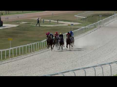 2018.08.19. 03. futam - LEPSÉNYI HENDIKEP (III.o.)(szintetikus pálya)