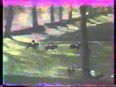96. Velká pardubická steeplechase - 1986