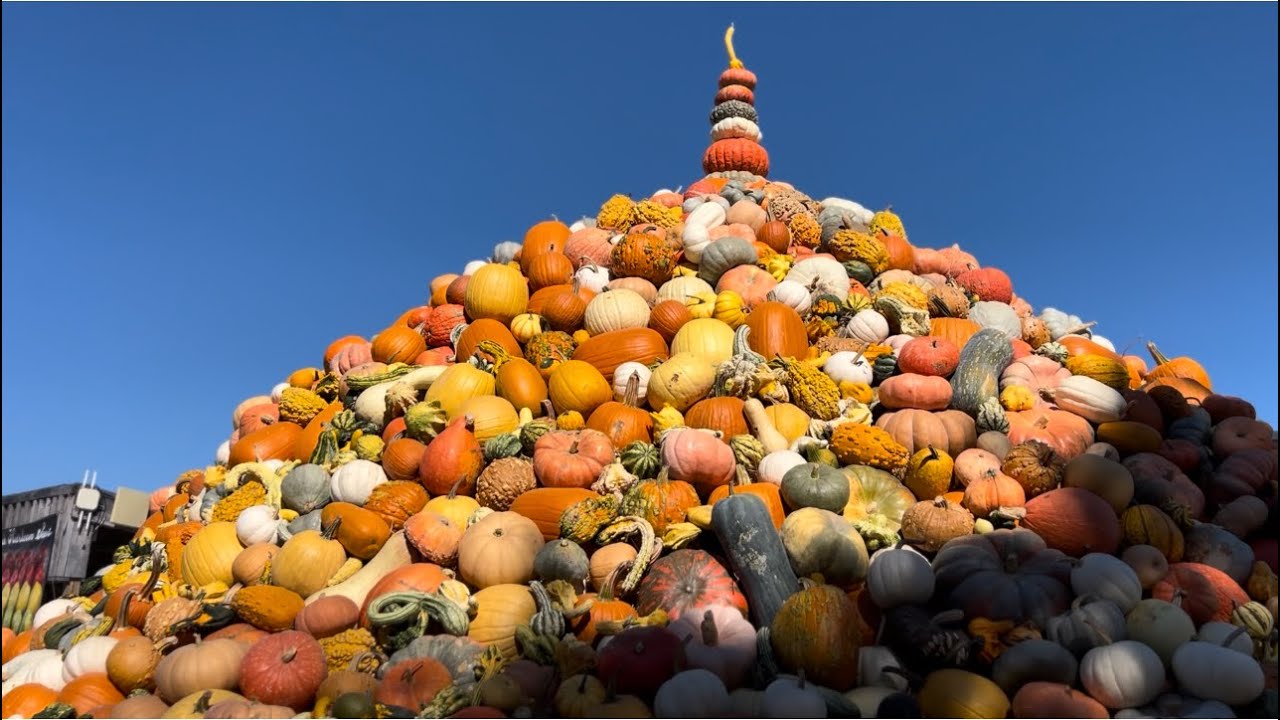 Baker Creek Heirloom Seed Fall Festival | 2024