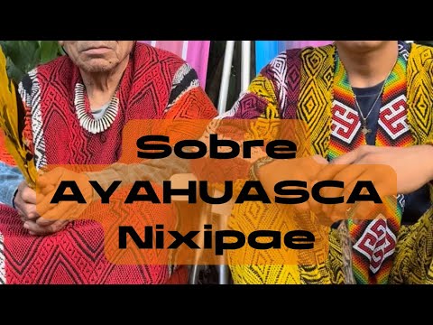 Sobre Nixipae (ayahuasca) com o pajé Inkamuru Huni Kuin