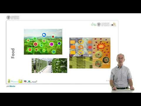 The future of nanomaterials | 8/19 | UPV