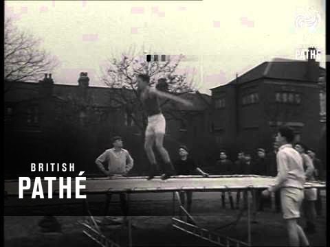 Trampolin (1950)