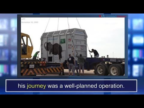 ニュースの言葉。旅 (News Words: Journey)