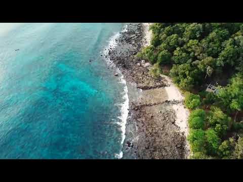 GOOD MORNING  Nature Video