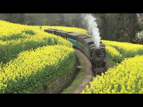 Steam Train Excursion in Sichuan, China