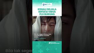 Jangan Disepelekan, Virus Flu Burung Dapat Menginfeksi Manusia, Ini Gejalanya Sejak Dini