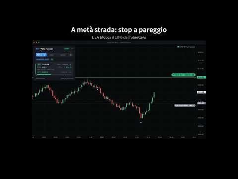Video IMD TP Manager MT4