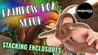 Colombian Rainbow Boa Setup // Stacking Phailozoo Enclosures