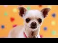 Me contro Te - Kira e Ray (Official Video) Me contro Te - Kira e Ray (Official Video)