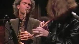 Sonic Youth - I Wanna Be Your Dog