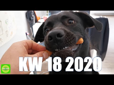 Vlog / KW 18 2020 / Von Windows und Staubsauger