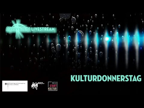 Harry Klein Kulturdonnerstag: Ein Jahr Livestreams: elektronische Clubkultur - was nun?