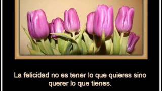 Silver Strand - The Corrs