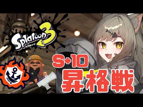 【スプラトゥーン3】S+10いくぞおぉおおぉ！！！！！！！！！【鈴無のら￤新人VTuber】