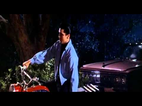 Elvis Karate in Roustabout