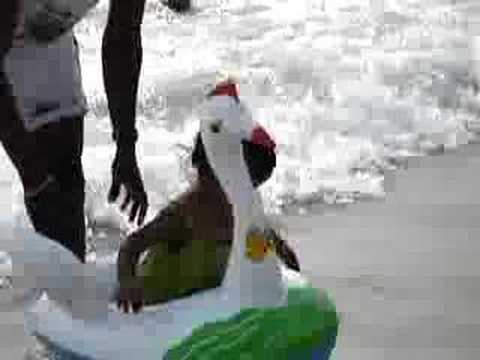 My Daughter in Beach