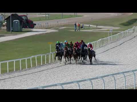 2017.10.15. 4. futam - KOLOSNÉMAI HENDIKEP (V/b.) (szintetikus pálya)