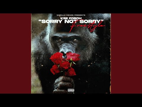 Sorry Not Sorry freestyle
