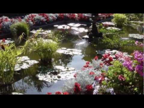 Pero Zubac - Ulaziš U Pesmu Kao U Vrt