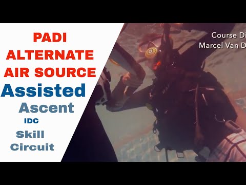 Alternate Air Source Assisted Ascent - New Revised PADI IDC Skills Circuit • Divemaster Skills