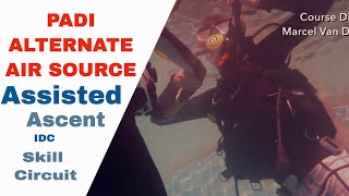 Alternate Air Source Assisted Ascent | PADI Divemaster and IDC Skill Circuit