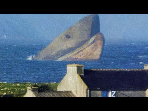 7 Cele Mai GIGANTICE Creaturi Marine Vazute VREODATA