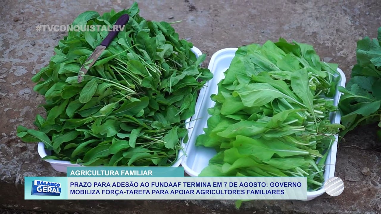 Prazo para adesão ao FUNDAAF termina em 7 de agosto: governo mobiliza força tarefa para apoiar agricultores familiares