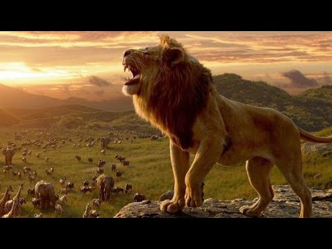 शेर की असली दहाड़ ! The Lion King !Sher Ki Dahad !Whatsapp Status !Lion Roar Status video शेर का आवाज