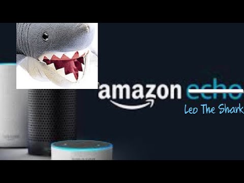 Amazon Echo: Leo The Shark Edition