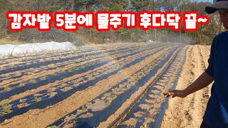 감자밭 마늘 양파밭 5분이면 물주기 끝납니다 관수,관주,분수호스,스프링쿨러 귀농,귀촌