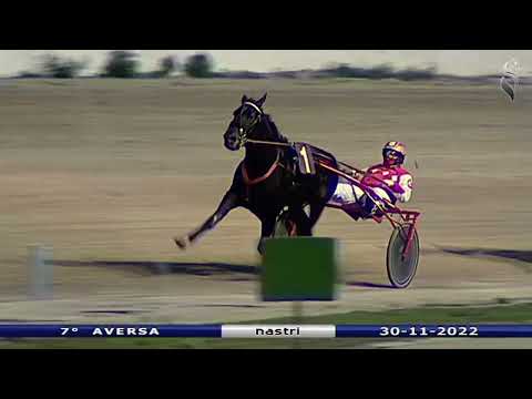 Aversa trotto 30 Novembre 2022- 7° Corsa