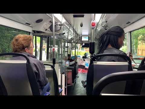 Transit Systems Sydney m/o 8104 - BYD K9RA eBus