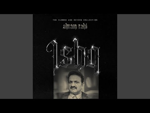 Jadun Teri Yaad Sataway Gi (Slowed + Reverb Pitch Down)