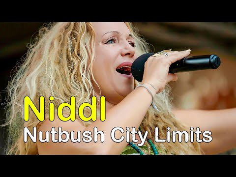 👉 Niddl - Nutbush City Limits, live auf der Donauparkbühne (Tina Turner Cover)