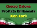 Checco Zalone - Prostata Enflamada (Con Cori) DEMO Karaoke