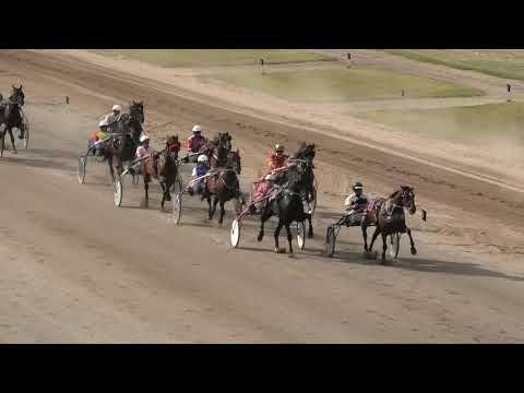 Trka "Farmtech Ljutomer-Slovenija" 22.08.2021 Greenpeace - Zoran Petrović